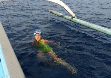 Dolphin-Tours (3)