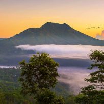 Batur Kintamani